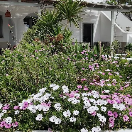 Anemomylos Guest house